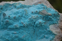 Natural Botryoidal Chrysocolla Specimen x 2 From Kulukuluku, Congo