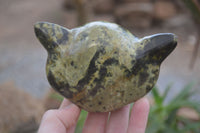 Polished Leopard Stone Cat Faces X 3 From Zimbabwe