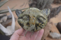 Polished Leopard Stone Cat Faces X 3 From Zimbabwe