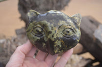 Polished Leopard Stone Cat Faces x 3 From Zimbabwe