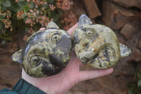 Polished Leopard Stone Cat Faces x 3 From Zimbabwe