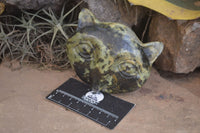 Polished Leopard Stone Cat Faces x 3 From Zimbabwe