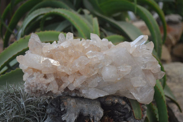 Natural Quartz Cluster x 1 From Mpika, Zambia