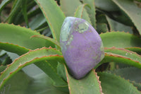 Polished Stichtite Free Forms x 2 From Barberton, South Africa