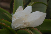 Natural Quartz Single Crystals x 4 From Madagascar