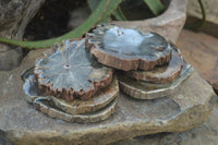 Polished Petrified Wood Slices x 6 From Gokwe, Zimbabwe