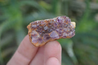 Natural Amethystos Amethyst Specimens x 96 From Kwaggafontein, South Africa