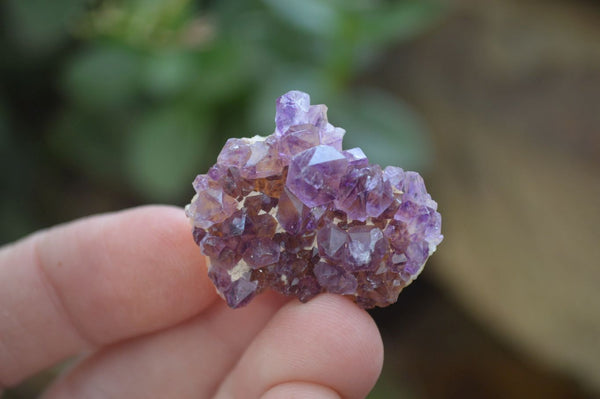 Natural Amethystos Amethyst Specimens x 96 From Kwaggafontein, South Africa