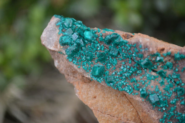 Natural Emerald Dioptase Dolomite Matrix Specimen x 1 From Namibia