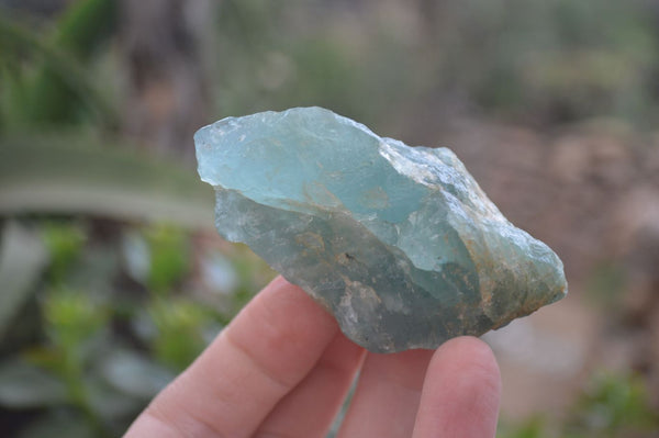 Natural Blue Aquamarine Cobbed Specimens x 12 From Angola