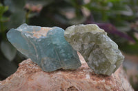 Natural Blue Aquamarine Cobbed Specimens x 12 From Angola