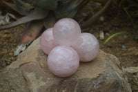 Polished Star Rose Quartz Sphere-Balls x 4 From Madagascar