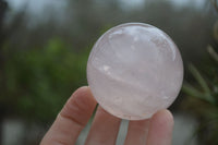 Polished Star Rose Quartz Sphere-Balls x 4 From Madagascar