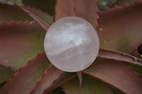 Polished Star Rose Quartz Sphere-Balls x 4 From Madagascar