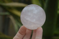 Polished Star Rose Quartz Sphere-Balls x 4 From Madagascar