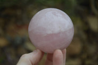 Polished Star Rose Quartz Sphere-Balls x 4 From Madagascar