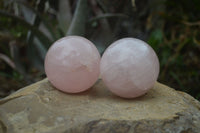 Polished Star Rose Quartz Sphere-Balls x 4 From Madagascar