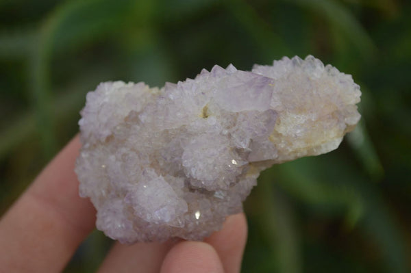 Natural Ametrine Spirit Quartz Clusters x 24 From Boekenhouthoek, South Africa