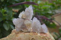 Natural Ametrine Spirit Quartz Clusters x 24 From Boekenhouthoek, South Africa