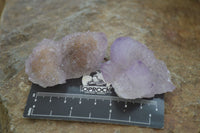 Natural Ametrine Spirit Quartz Clusters x 24 From Boekenhouthoek, South Africa