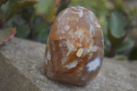 Polished Flower Agate Standing Free Forms x 2 From Madagascar