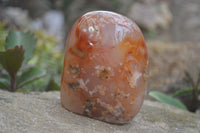 Polished Flower Agate Standing Free Forms x 2 From Madagascar