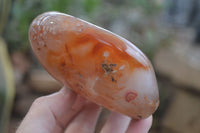 Polished Flower Agate Standing Free Forms x 2 From Madagascar