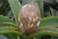 Polished Flower Agate Standing Free Forms x 2 From Madagascar