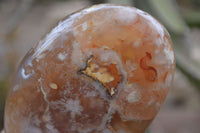 Polished Flower Agate Standing Free Forms x 2 From Madagascar