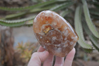 Polished Flower Agate Standing Free Forms x 2 From Madagascar