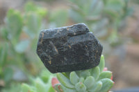 Natural Alluvial Schorl Black Tourmaline Crystals x 22 From Zimbabwe