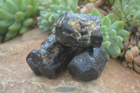 Natural Alluvial Schorl Black Tourmaline Crystals x 22 From Zimbabwe