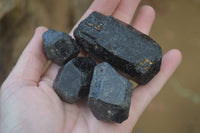 Natural Alluvial Schorl Black Tourmaline Crystals x 22 From Zimbabwe