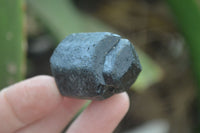 Natural Alluvial Schorl Black Tourmaline Crystals x 22 From Zimbabwe