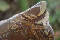 Polished On One Side Nguni Jasper Specimens x 2 From Prieska, South Africa