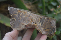 Polished On One Side Nguni Jasper Specimens x 2 From Prieska, South Africa