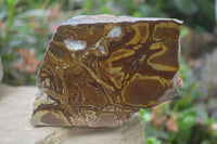 Polished On One Side Nguni Jasper Specimens x 2 From Prieska, South Africa