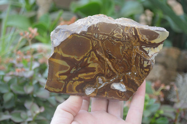 Polished On One Side Nguni Jasper Specimens x 2 From Prieska, South Africa