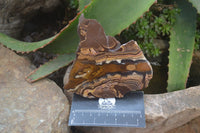 Polished On One Side Nguni Jasper Specimens x 2 From Prieska, South Africa