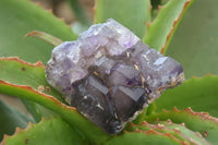 Natural Smokey Amethyst Crystals x 6 From Chiredzi, Zimbabwe