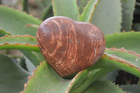 Polished Mixed Selection Of Jasper Hearts x 6 From Madagascar