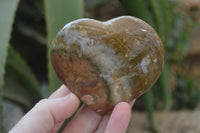 Polished Mixed Selection Of Jasper Hearts x 6 From Madagascar