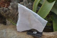 Natural Crystalline Blue Lace Agate Specimen x 1 From Namibia