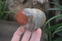 Polished Polychrome Jasper Hearts x 6 From Madagascar