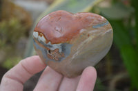 Polished Polychrome Jasper Hearts x 6 From Madagascar