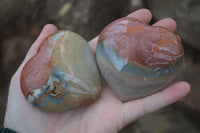 Polished Polychrome Jasper Hearts x 6 From Madagascar