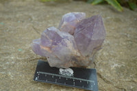 Natural Jacaranda Amethyst Clusters x 6 From Mumbwa, Zambia