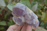 Natural Jacaranda Amethyst Clusters x 6 From Mumbwa, Zambia