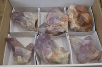 Natural Jacaranda Amethyst Clusters x 6 From Mumbwa, Zambia