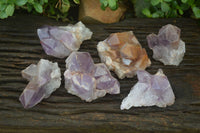 Natural Jacaranda Amethyst Clusters x 6 From Mumbwa, Zambia